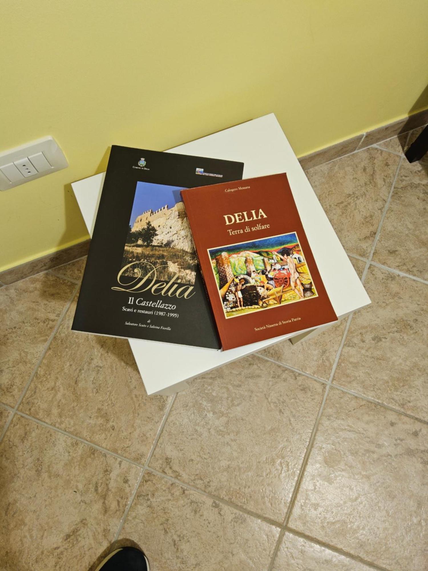Al Cortile Del Pozzo Apartment Delia ภายนอก รูปภาพ